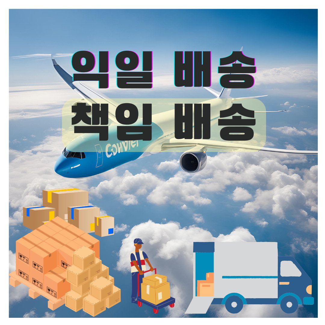 하노이 익일특송 2kg 기준