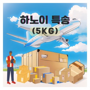 하노이 익일특송 5kg 기준