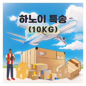 하노이 익일특송 10kg 기준
